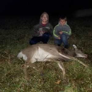 Meet your Posher, Orion